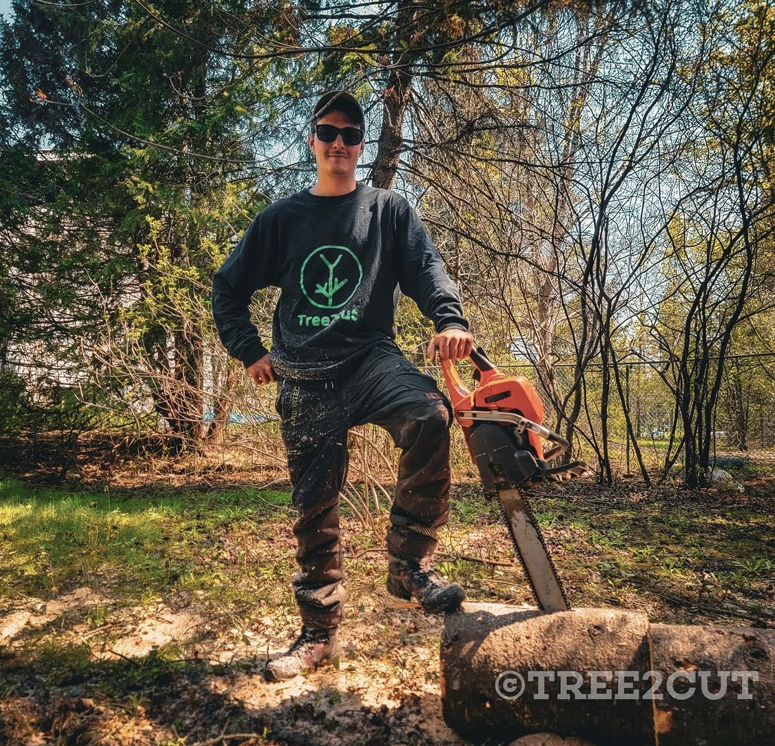 Tree care services